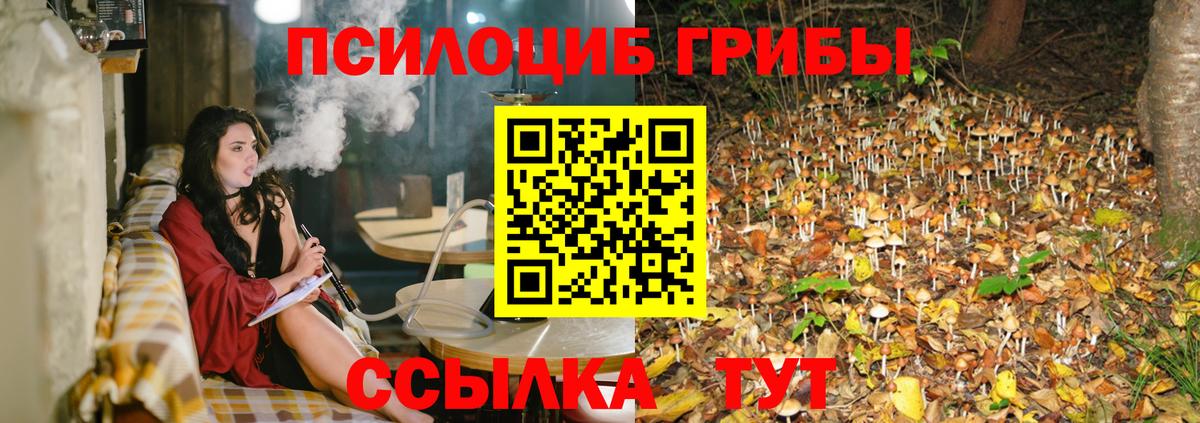 Галлюциногенные грибы прущие грибы  Вход с VPN  Качканар  где купить наркоту  Галлюциногенные грибы GOLDEN TEACHER 