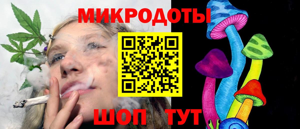 Псилоцибиновые грибы Psilocybe Качканар